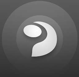 PlatinMarket